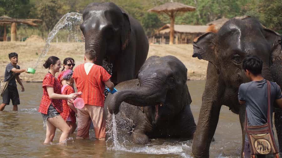 Chiang Mai: Elephant care & Long Neck &Sticky Waterfall Tour - Private hotel pickup and the 9-hour pace you should expect