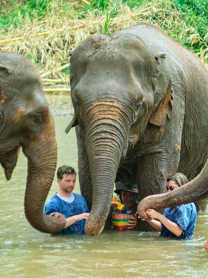 Chiang Mai : Elephant Care & Long necked village - Meeting Elephants in Chiang Mai: Feeding, Photos, and Bathing