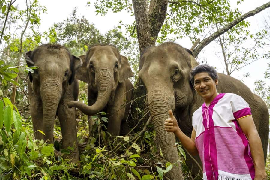 Chiang Mai: Elephant Dream Project Sanctuary - Full Day - Who This Sanctuary Experience Fits Best