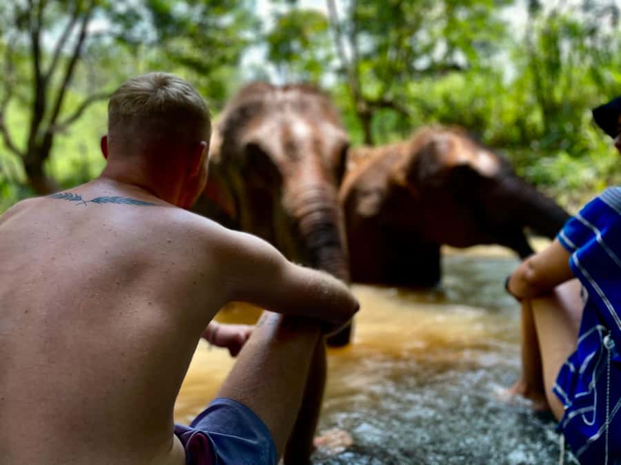 Chiang Mai: Elephant Dream Project Sanctuary - Full Day - The Waterfall Break: A Reset After Elephant Time