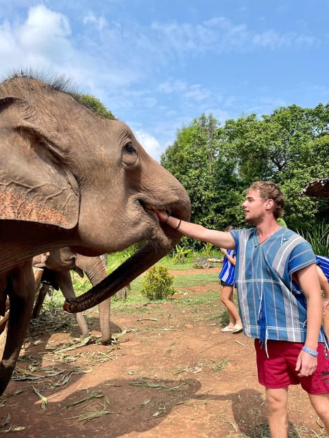 Chiang Mai: Elephant Dream Project Sanctuary - Half-Day - How Ethical Elephant Encounters Work Here (No Forced Fun)