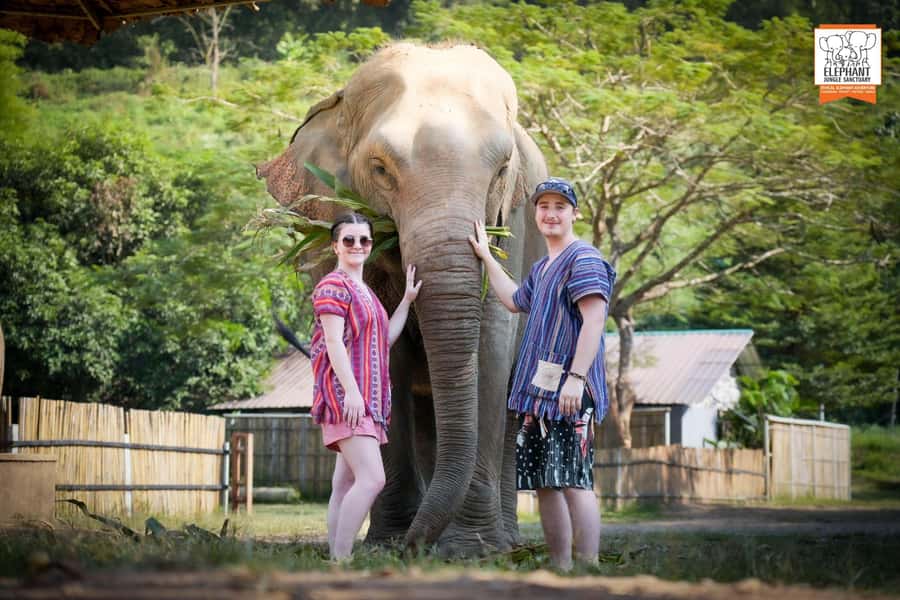 Chiang Mai Elephant Jungle Sanctuary &Mama Noi Cooking Class - A full day that ties elephants to real Thai cooking