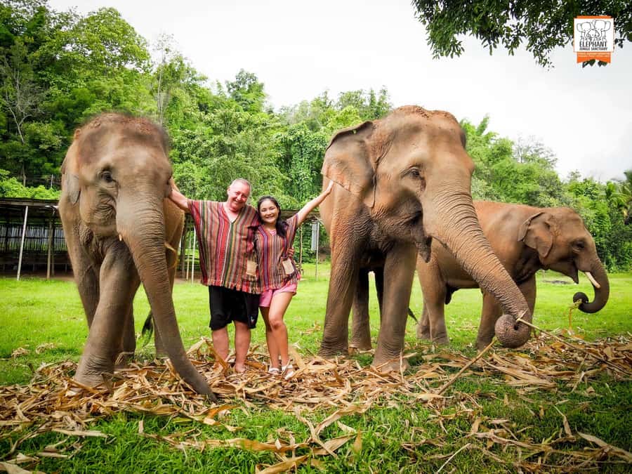 Chiang Mai Elephant Jungle Sanctuary &Mama Noi Cooking Class - The mud spa with elephants (yes, it’s part of the program)