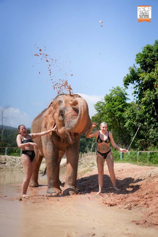 Chiang Mai Elephant Jungle Sanctuary &Mama Noi Cooking Class - River walk and helping bathe the elephants