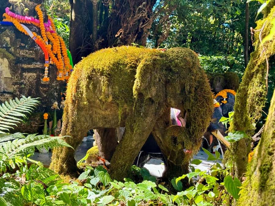 Chiang Mai Elephant Recovery Center, Doi Inthanon and Hiking - Royal pagodas, gardens, and valley views