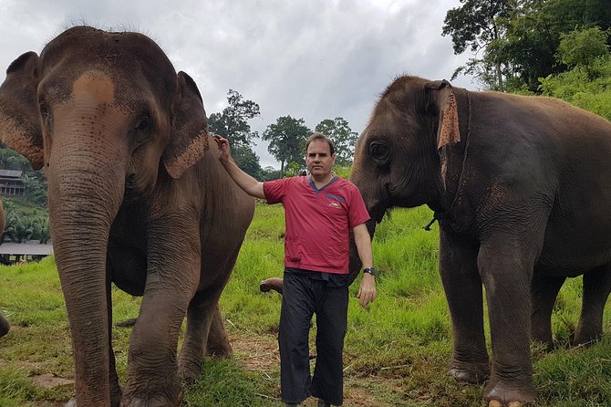 Chiang Mai Elephant Sanctuary and Temples Tour in Spanish - Price and value: is $173.52 per person fair?