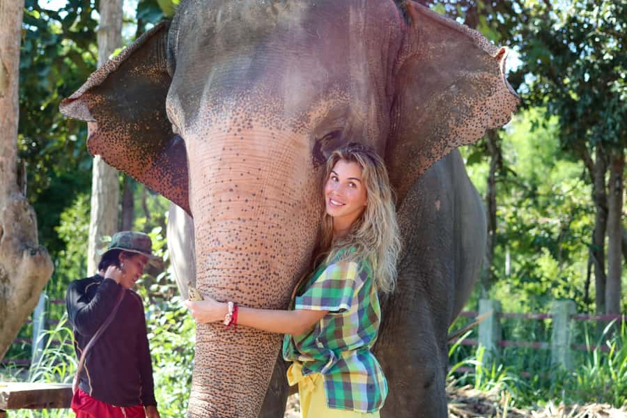 Chiang Mai: Elephant Sanctuary Guided Tour in Spanish - Key points before you go
