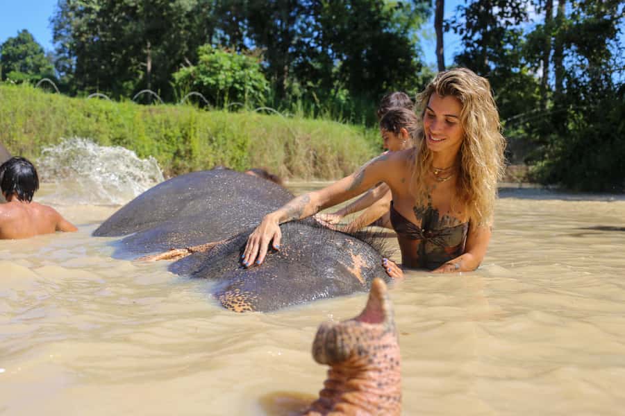 Chiang Mai: Elephant Sanctuary Guided Tour in Spanish - Who this elephant sanctuary tour fits best