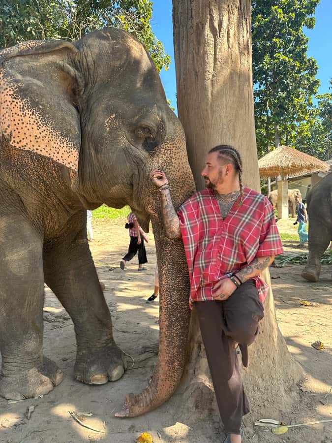 Chiang Mai: Elephant Sanctuary Guided Tour in Spanish - A Spanish-Day with the Elephants: how the 6 hours flow