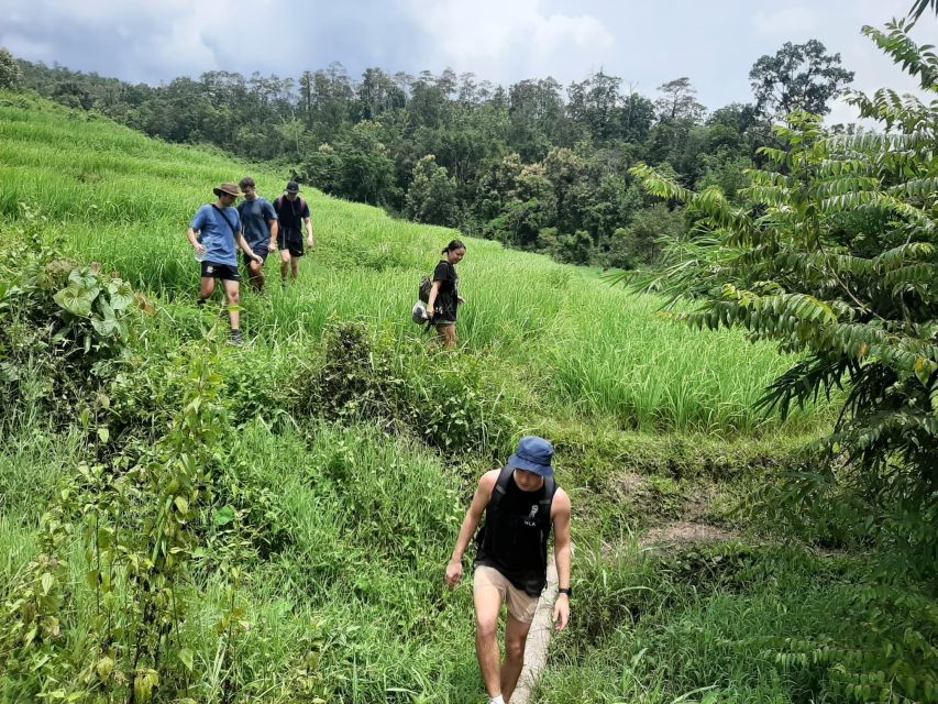 Chiang Mai: Elephant Sanctuary & Jungle Trek w/ Waterfall - Key points you’ll care about most