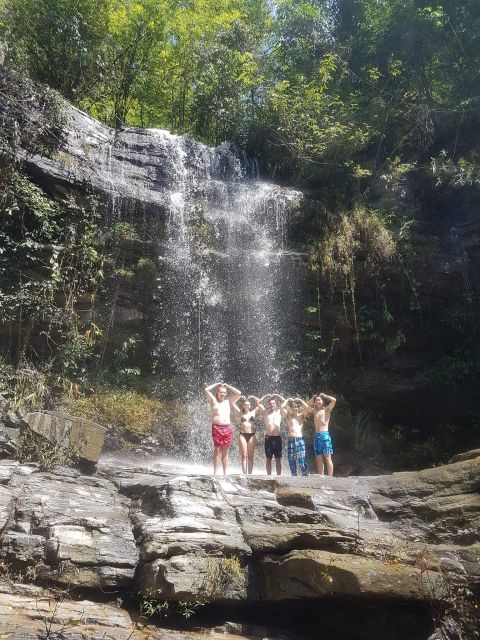 Chiang Mai: Elephant Sanctuary & Jungle Trek w/ Waterfall - Elephant Sanctuary: the day starts with ethical care, not a show