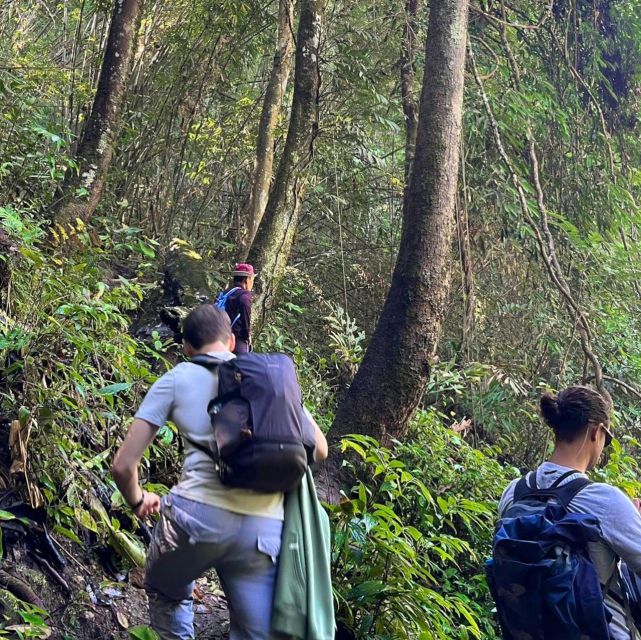 Chiang Mai: Elephant Sanctuary & Jungle Trek w/ Waterfall - Pickup, timing, and how the day flows