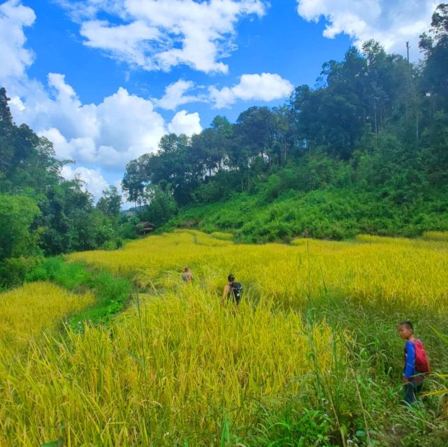 Chiang Mai: Elephant Sanctuary & Jungle Trek w/ Waterfall - Mae Wang River bamboo rafting: gentle fun with real Thailand scenery