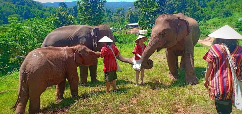 Chiang Mai: Elephant Sanctuary Local Hill Tribe Caretakers - Why this elephant sanctuary day feels different