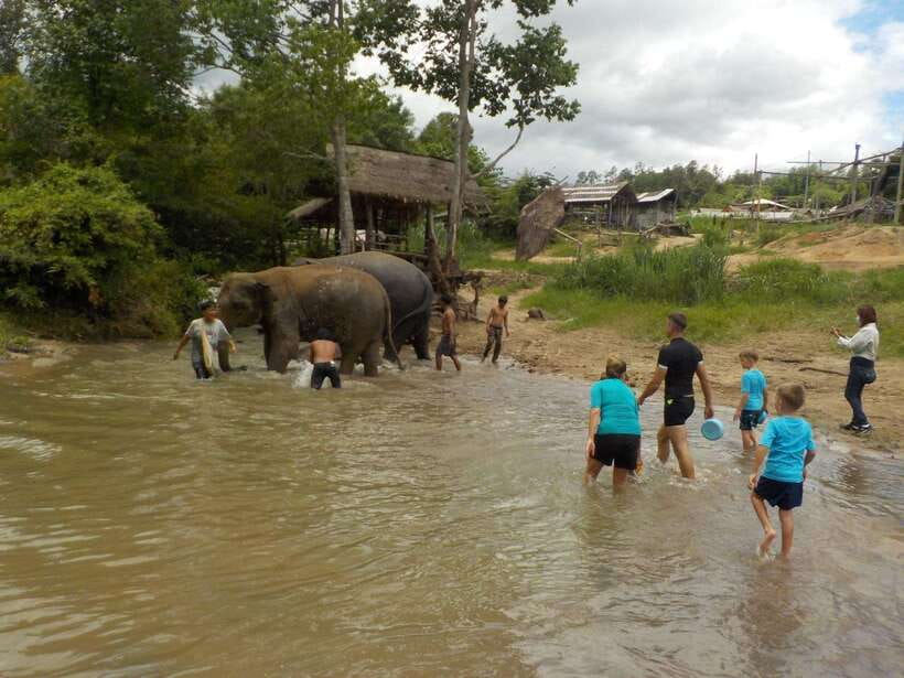 Chiang Mai: Elephant Sanctuary Local Hill Tribe Caretakers - Lunch at the sanctuary: simple Thai food, well-timed