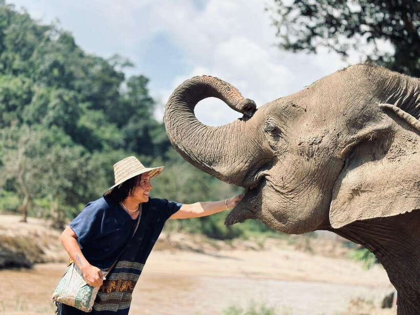 Chiang Mai: Elephant Sanctuary, Long Neck & Sticky Waterfall - Elephant sanctuary: mahout outfit, herbal treats, and feeding up close