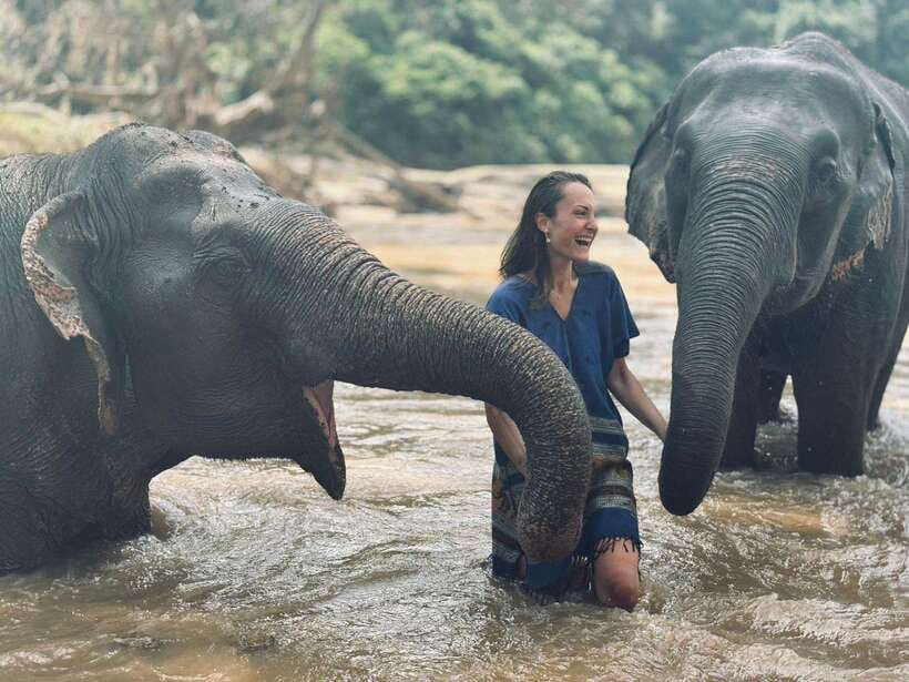 Chiang Mai: Elephant Sanctuary, Long Neck & Sticky Waterfall - The elephant walk: what you should watch for in the forest