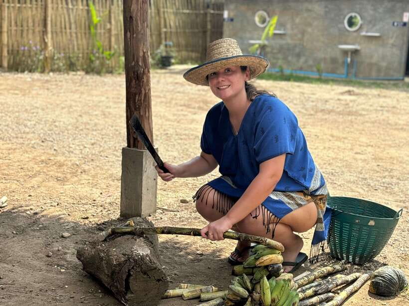 Chiang Mai: Elephant Sanctuary, Long Neck & Sticky Waterfall - Thai lunch included: good value, but keep a backup plan
