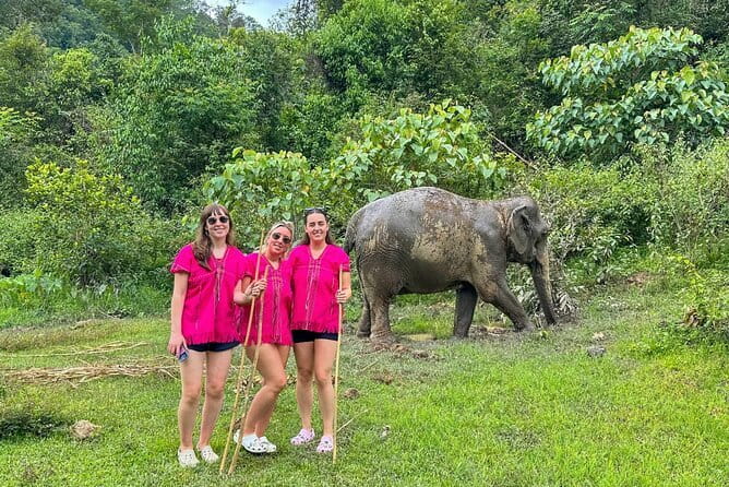 Chiang Mai Elephant Sanctuary Observation and Bamboo Rafting - Price and What You Actually Get for $61.92