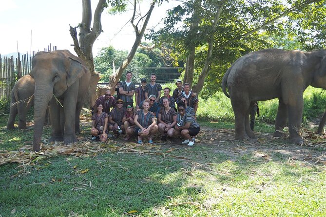 Chiang Mai Elephant Sanctuary Small Group Ethical Tour - Your Half-Day at Elephant Jungle Sanctuary (Mae Taeng Views Included)