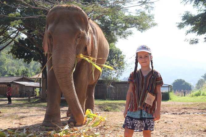 Chiang Mai Elephant Sanctuary Small Group Ethical Tour - Entering the Sanctuary Area: Time to Watch, Not Rush