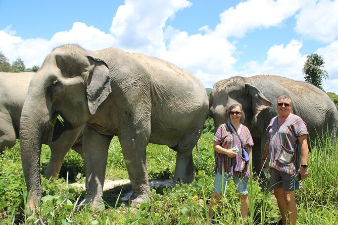 Chiang Mai Elephant Sanctuary Small Group Ethical Tour - The Guide Factor: Why Peter’s Style Matters