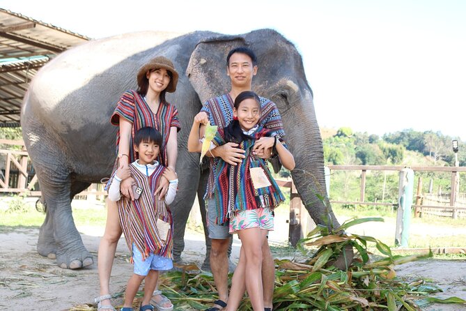 Chiang Mai Elephant Sanctuary Small Group Ethical Tour - Food and Practical Comfort: Thai Buffet Lunch, Seasonal Fruits, and Water