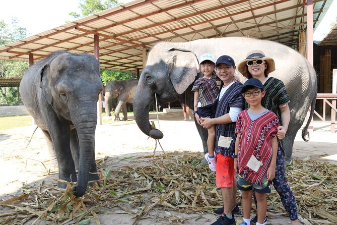 Chiang Mai Elephant Sanctuary Small Group Ethical Tour - Group Size, Transfers, and How Smooth It Feels