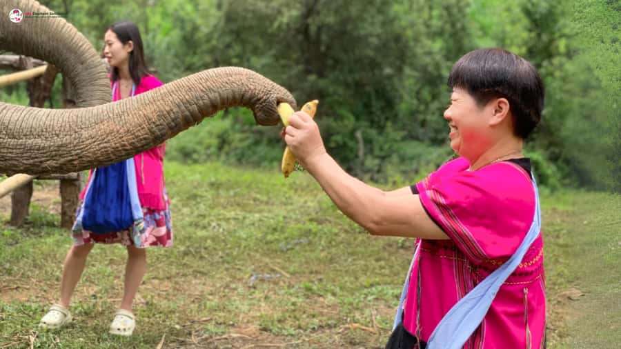 Chiang Mai: Elephant Sanctuary & Suthep Temple Sunrise View - Karen cultural clothing and elephant learning time