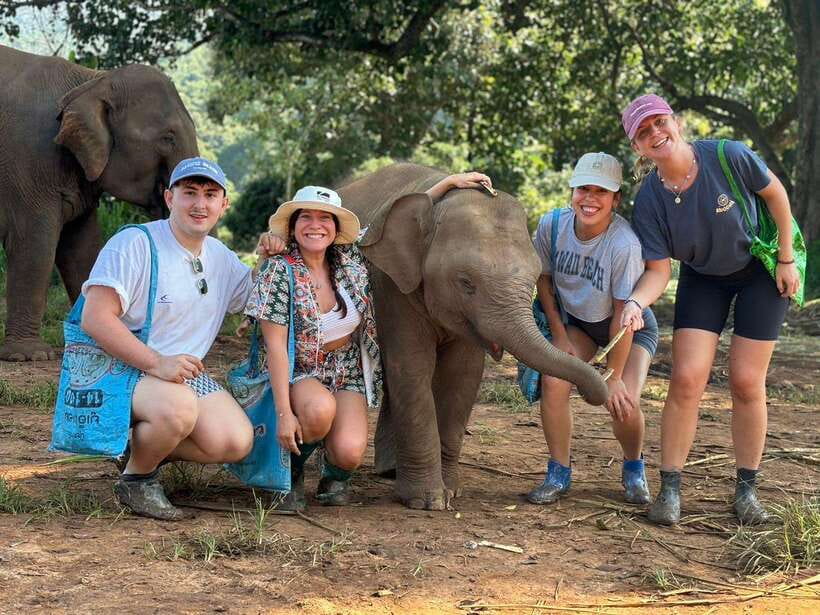 Chiang Mai: Elephant Sanctuary, Waterfall & Bamboo Rafting - Key highlights I think matter most