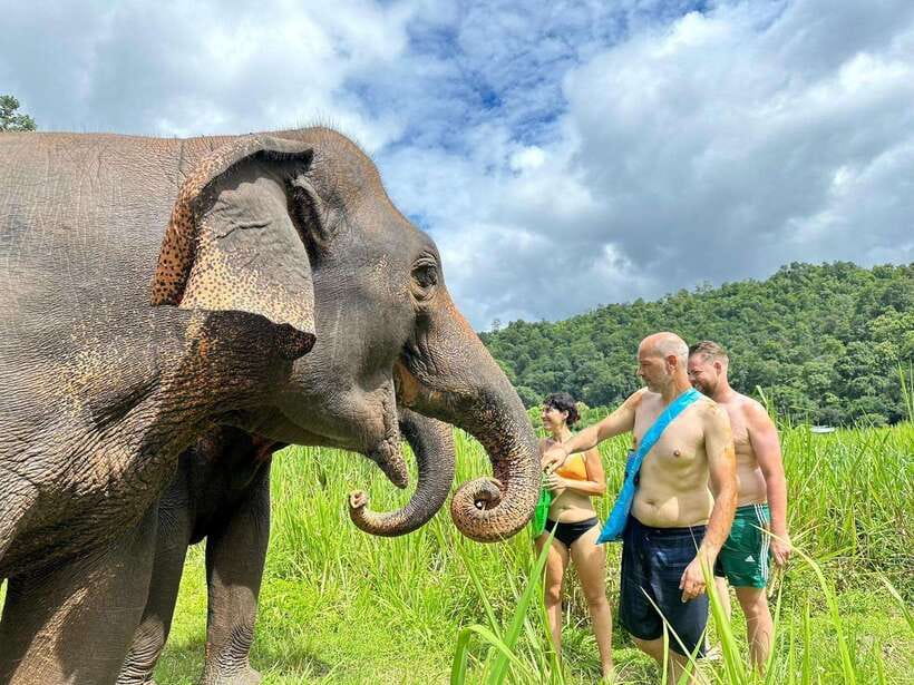 Chiang Mai: Elephant Sanctuary, Waterfall & Bamboo Rafting - Bathing the elephants and watching them at the river