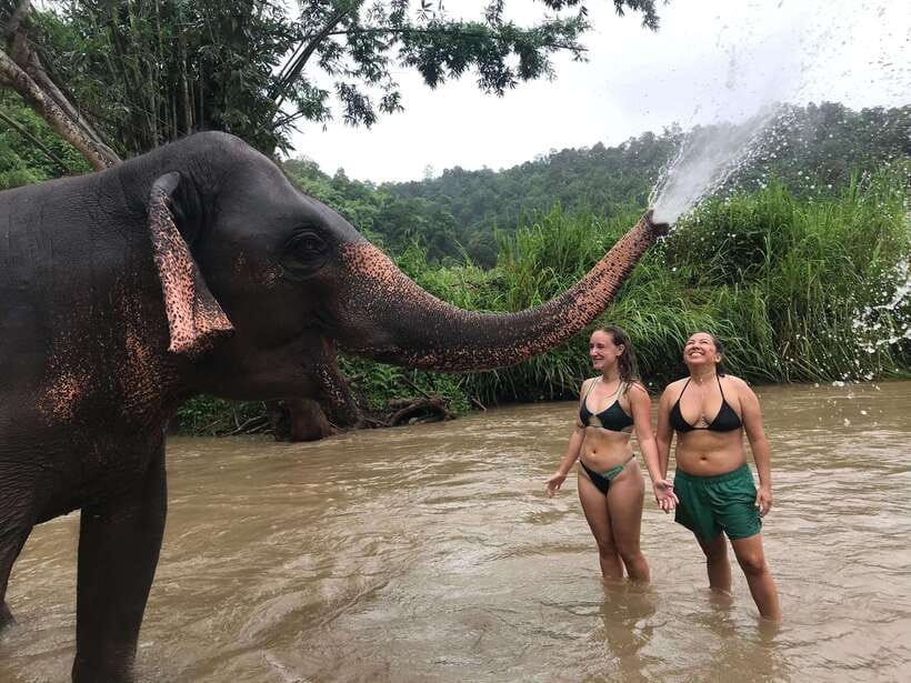 Chiang Mai: Elephant Sanctuary & Waterfall Group Tour - The bathing moment: what to expect and how to stay comfortable