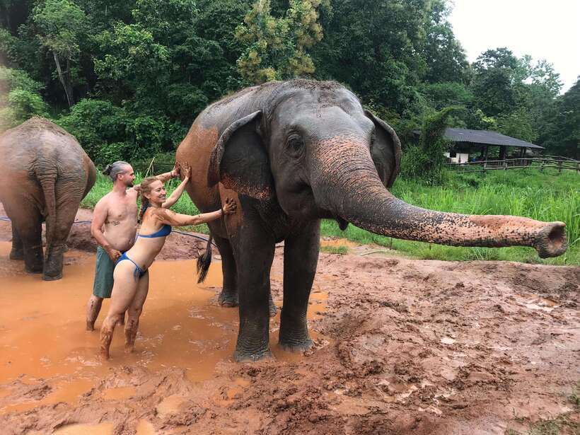 Chiang Mai: Elephant Sanctuary & Waterfall Group Tour - Price and value: why about $50 can make sense here