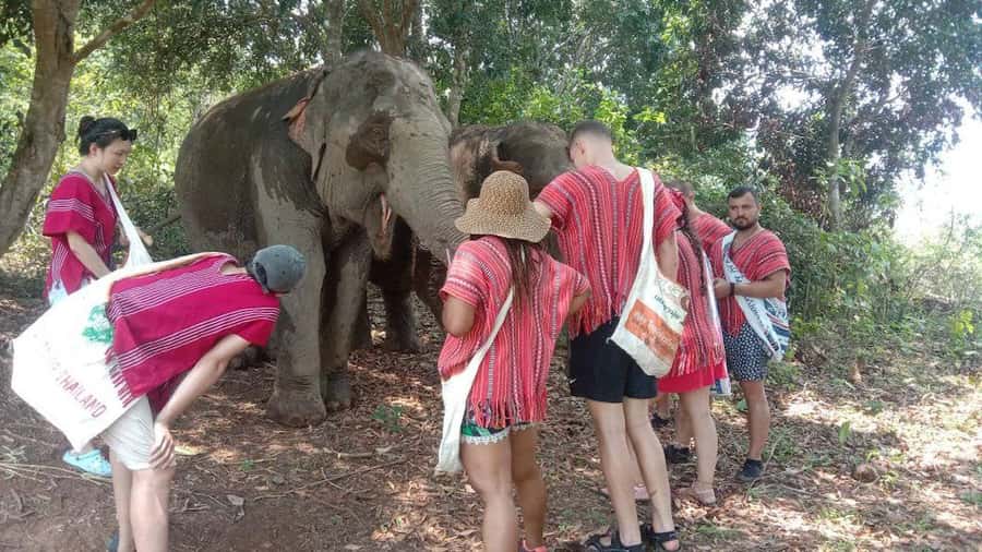 Chiang Mai Elephant Village Life: Long Neck & Bamboo Rafting - Karen Hill Village: cultural time, and the long-neck reality check