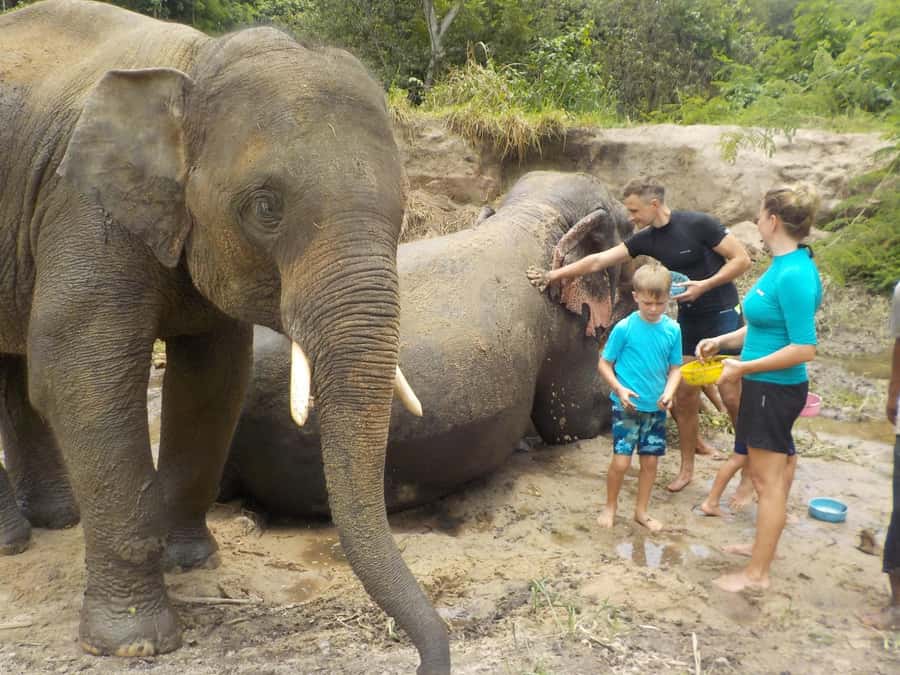 Chiang Mai Elephant Village Life: Long Neck & Bamboo Rafting - Thai lunch breaks up the day (and keeps it local)
