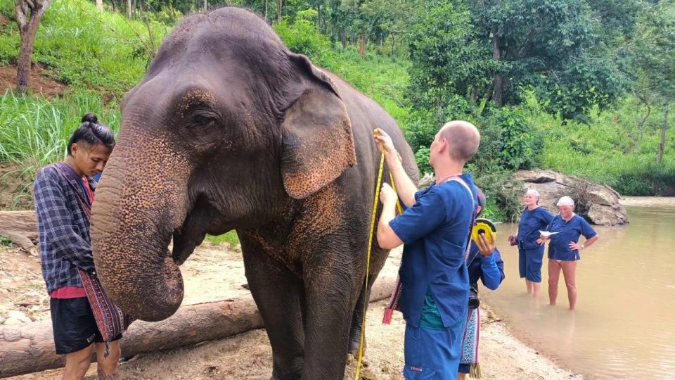 Chiang Mai Elephant Village Life: Long Neck & Bamboo Rafting - Bamboo rafting: the peaceful finale you’ll actually remember