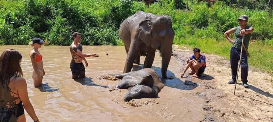 Chiang Mai Elephant Village Life: Long Neck & Bamboo Rafting - Getting there: Old City pickup, van time, then a short rougher ride