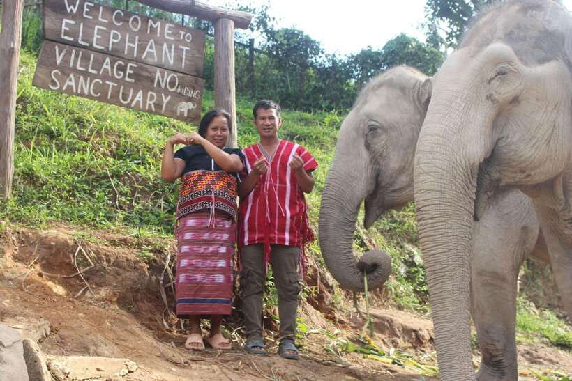 CHIANG MAI ELEPHANT VILLAGE SANCTUARY JUNGLE ADVENTURE - Morning pickup and the ride that changes your mood