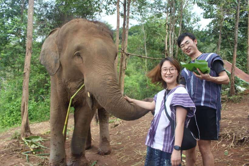 CHIANG MAI ELEPHANT VILLAGE SANCTUARY JUNGLE ADVENTURE - Meeting the elephants where they live: gentle contact with mahout supervision