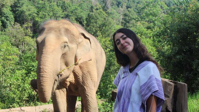 CHIANG MAI ELEPHANT VILLAGE SANCTUARY JUNGLE ADVENTURE - Price and logistics: what $48 covers, and how to judge value