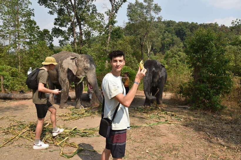 Chiang Mai Elephant Village Sanctuary Visit with Waterfall! - First Stop in Chiang Mai: Meeting at Revolution Hostel