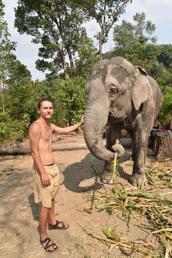 Chiang Mai Elephant Village Sanctuary Visit with Waterfall! - Waterfall Swim Plus Traditional Medicine Stories
