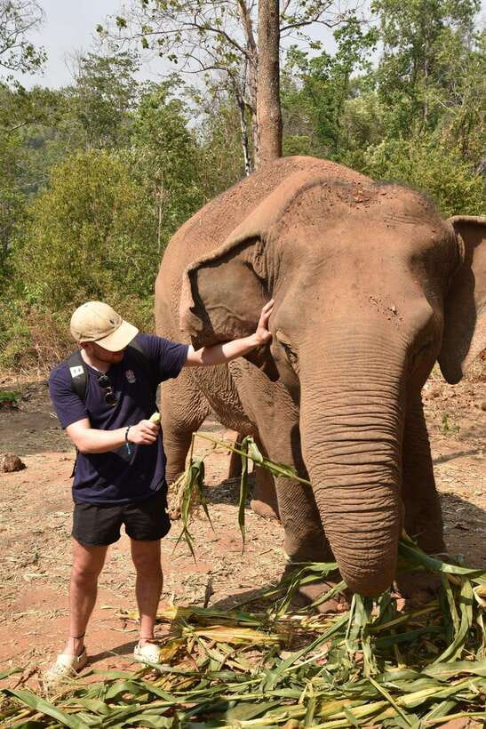 Chiang Mai Elephant Village Sanctuary Visit with Waterfall! - Lunch With Ken and the Hill Tribe Way of Life