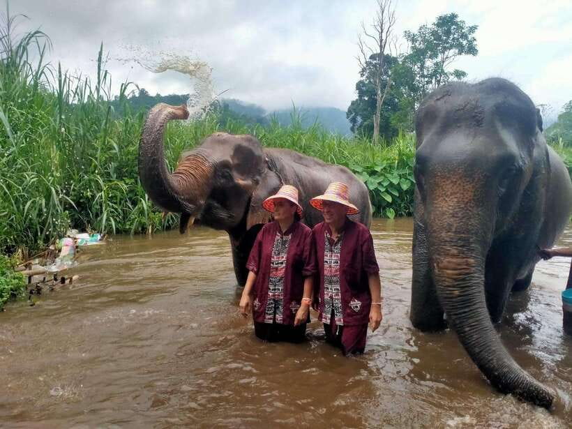 Chiang Mai: Elephants, Sticky Waterfalls, Market and Temple - Key Reasons This Day Works So Well