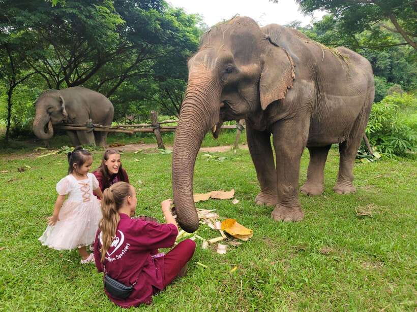 Chiang Mai: Elephants, Sticky Waterfalls, Market and Temple - Wat Ban Den Temple: Colorful Lanna Architecture With a Peaceful Rhythm