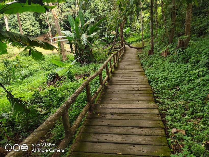 Chiang Mai: Elephants, Sticky Waterfalls, Market and Temple - Who This Tour Suits Best (And Who Might Want a Different Option)