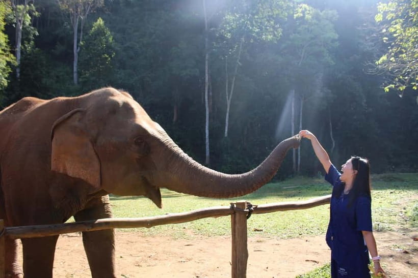 Chiang Mai: Elephants, Waterfall, and White Water Rafting - Key moments you’ll remember