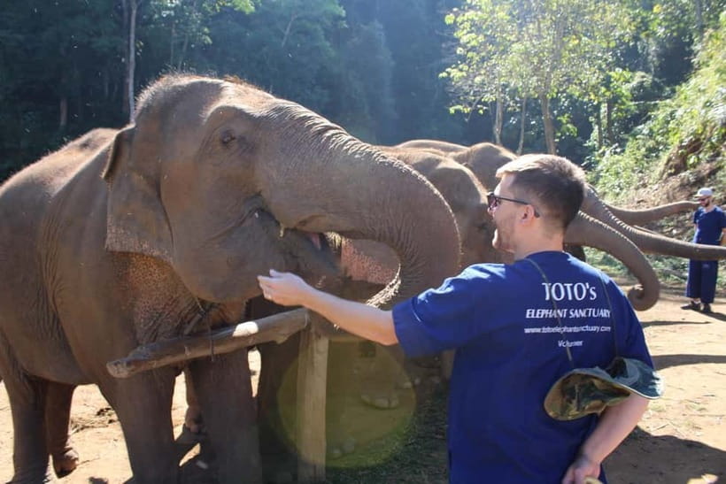 Chiang Mai: Elephants, Waterfall, and White Water Rafting - A Full-Day Chiang Mai Jungle Loop: Elephants, Waterfall, Rafting