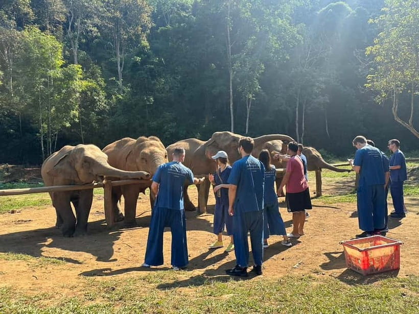 Chiang Mai: Elephants, Waterfall, and White Water Rafting - Morning Drive to Mae Taeng and the Elephant Camp Setup
