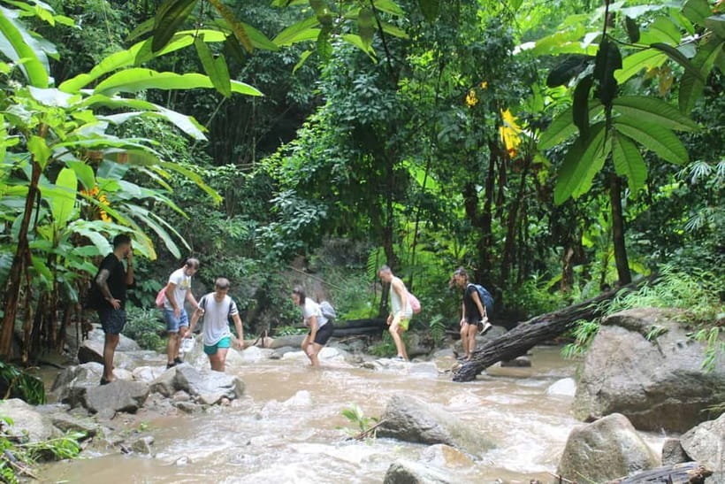 Chiang Mai: Elephants, Waterfall, and White Water Rafting - Photos, Insurance, and Small Comforts That Add Up